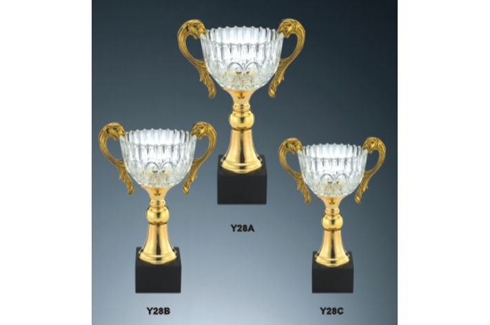 y28